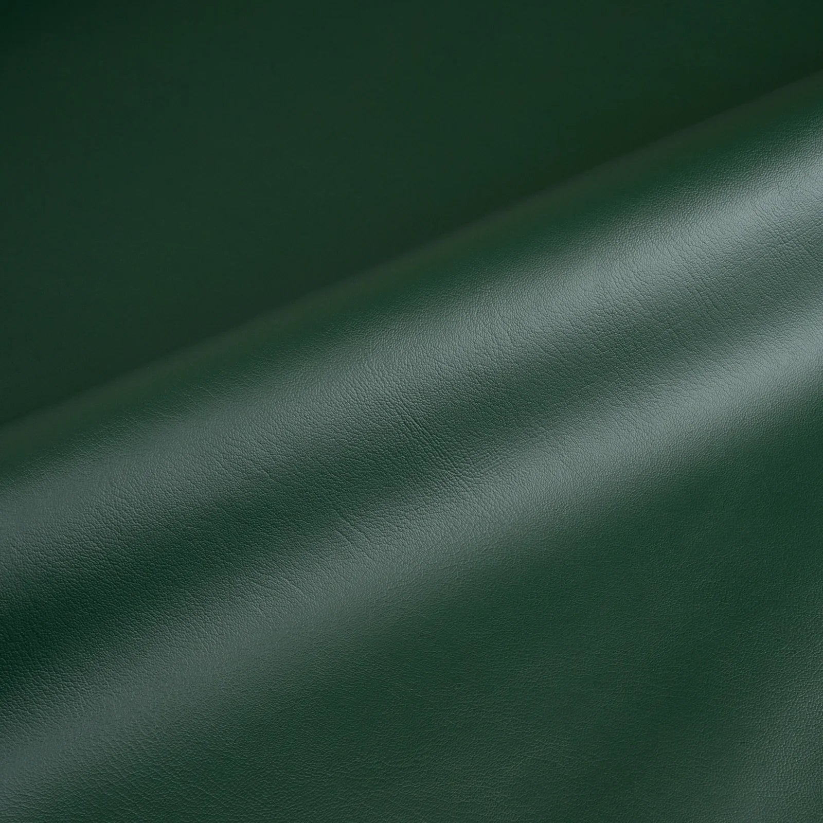 Augusta Collection